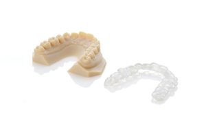 Ortho Model 4 Dental